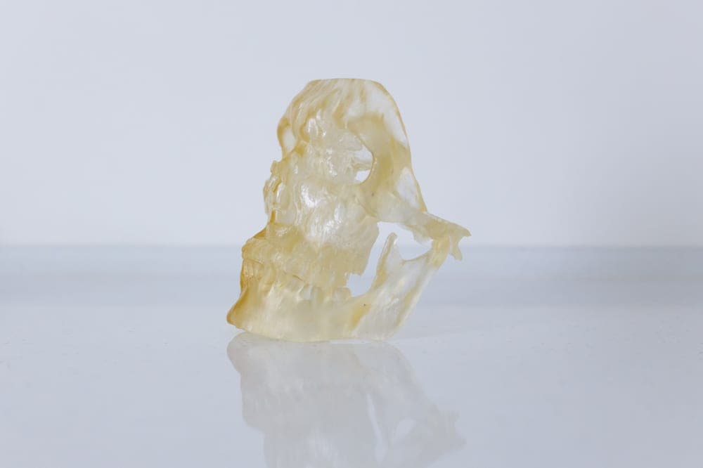 A finely detailed plastic model of the kind resin printing is used for - a stand-in for the Elegoo Mars 5 Ultra, not a photograph of this model